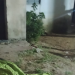 Cerca de 10 criminosos invadem casa, roubam, e assassinam homem na Zona Oeste de Manaus