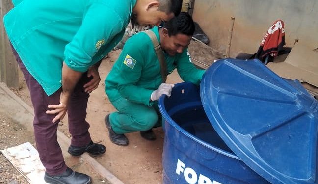 Dengue e Febre Oropouche somam mais de 2 mil casos no Amazonas