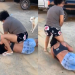 Chifruda descobre traição pela segunda vez e arrasta a novinha pelo asfalto; veja