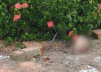 Bizarro: Cabeça de homem é jogada em rua na Zona Norte de Manaus e encontrada por moradores