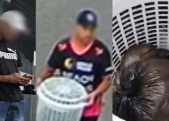 Homem que quase matou cachorros asfixiados é preso em Manaus antes de fugir para SP; veja vídeo