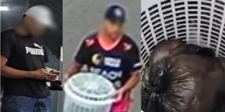 Homem que quase matou cachorros asfixiados é preso em Manaus antes de fugir para SP; veja vídeo