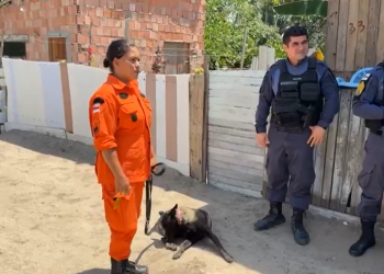 Cadela da PM é usada na busca de três supostos corpos no bairro União da Vitória