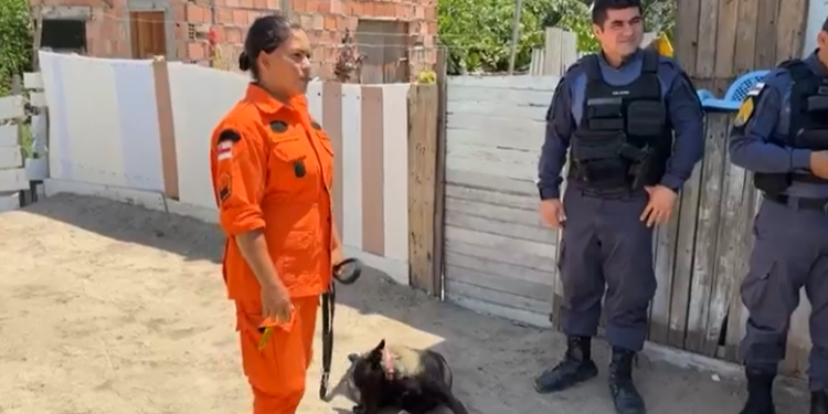 Cadela da PM é usada na busca de três supostos corpos no bairro União da Vitória