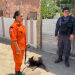 Cadela da PM é usada na busca de três supostos corpos no bairro União da Vitória