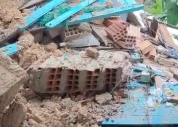 Pitbull morre e família fica ferida após casa desabar durante chuva em Manaus