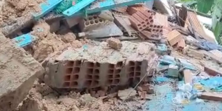 Pitbull morre e família fica ferida após casa desabar durante chuva em Manaus