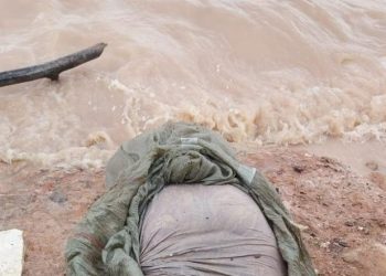 Homem esquartejad0 no Centro é jogado perto da Manaus Moderna