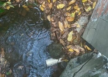 Perícia encontra cabeça de corpo desovado na Compensa