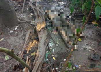 Corpo é encontrado próximo a condomínio de luxo em Manaus por Agentes de Portaria