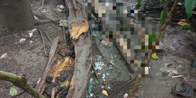 Corpo é encontrado próximo a condomínio de luxo em Manaus por Agentes de Portaria