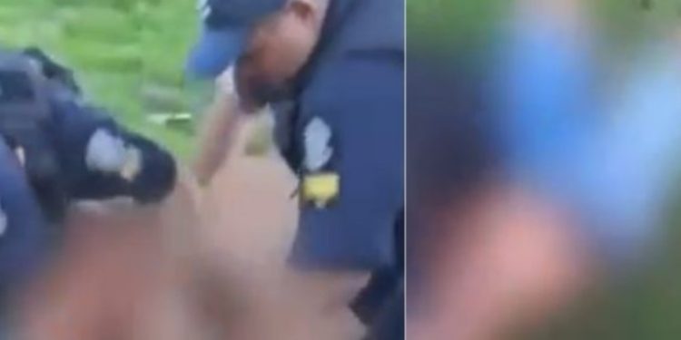Vídeo: Guardas entram em luta corporal com pai que deu caminhão para filha dirigir