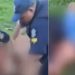 Vídeo: Guardas entram em luta corporal com pai que deu caminhão para filha dirigir