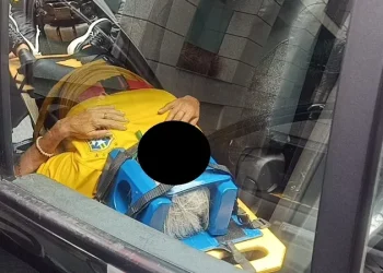 Idosa tem pulmão perfurado ao cair de árvore enquanto acompanhava ato pró-Bolsonaro