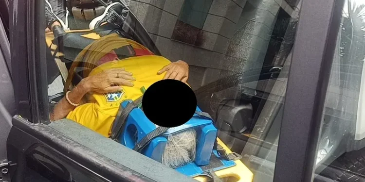 Idosa tem pulmão perfurado ao cair de árvore enquanto acompanhava ato pró-Bolsonaro