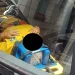 Idosa tem pulmão perfurado ao cair de árvore enquanto acompanhava ato pró-Bolsonaro