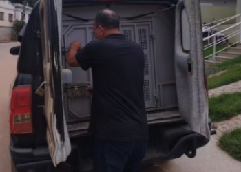 Homem que alegou que enteada engravidou porque usava toalha dele é preso