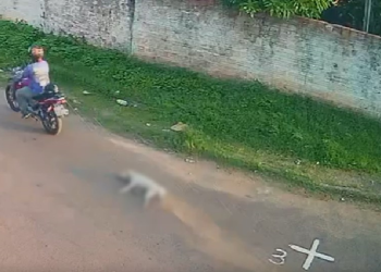 Absurdo: Motoqueiro aparece arrastando cachorro morto por rua em Itacoatiara; veja