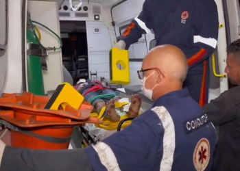 Passageiro é esfaqueado e espancado por criminosos em parada de ônibus em Manaus