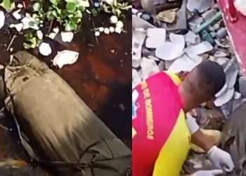 Vídeos: corpo esquartej@ado assombra Porto de Manaus neste sábado de Carnaval