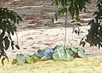 Vídeo: bandidos matam “Careca” em Manaus e ligam para a família ir pegar o corpo