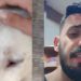 Vídeo forte: Pitbull invade casa em Manaus e estraçalha cara de cachorro da família