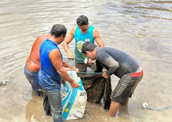 Vendas no Feirão do Pescado devem movimentar cerca de R$ 3 milhões
