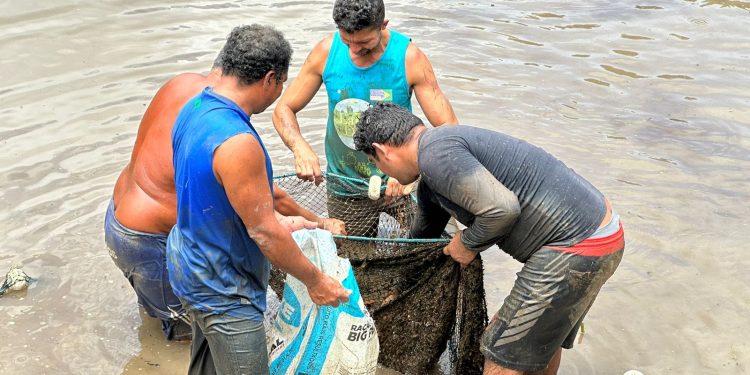 Vendas no Feirão do Pescado devem movimentar cerca de R$ 3 milhões
