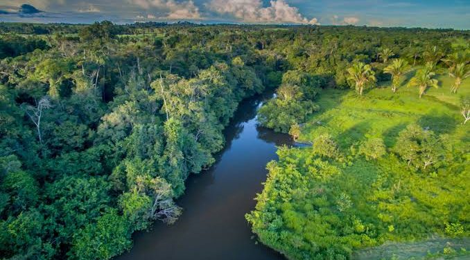 Lula e Macron anunciam programa de um bilhão de euros na Amazônia