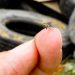 Amazonas tem sua primeira morte por dengue desde o novo surto
