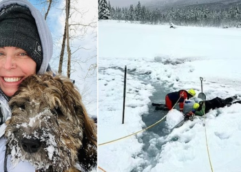 Mulher que foi procurar cachorro que mergulhou em rios congelantes é encontrada morta abraçada ao amigo