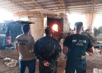 PC-AM incinera uma tonelada de drogas apreendidas em operações policiais em Tefé