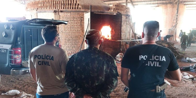PC-AM incinera uma tonelada de drogas apreendidas em operações policiais em Tefé