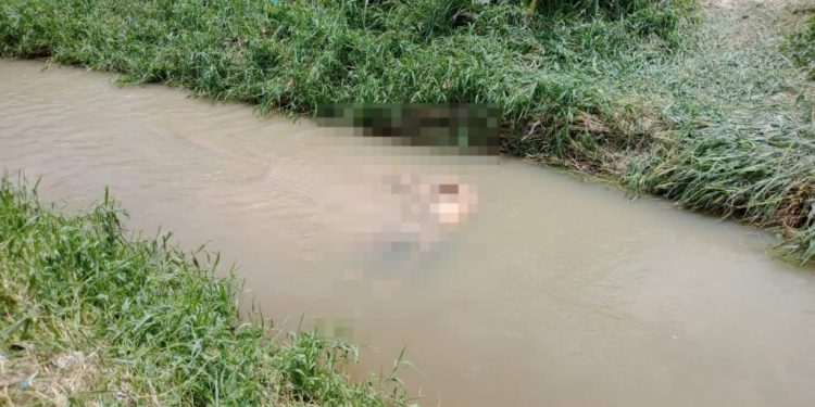 Corpo amarrado é encontrado em igarapé na mesma rua onde casal foi executado em Manaus