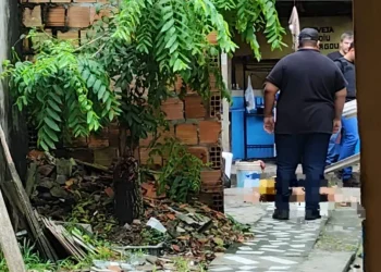 Idoso morre com o corpo picotado a terçadadas na Zona Leste de Manaus