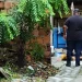 Idoso morre com o corpo picotado a terçadadas na Zona Leste de Manaus