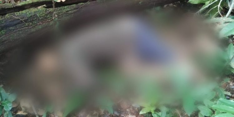 Homem com traje militar é encontrado morto na AM-010