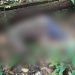 Homem com traje militar é encontrado morto na AM-010