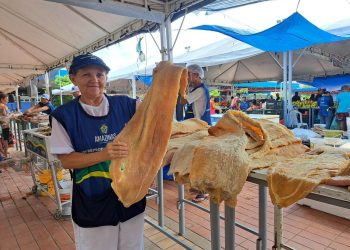 Feirão dos Pescado em Manaus divulga saldo positivo de vendas
