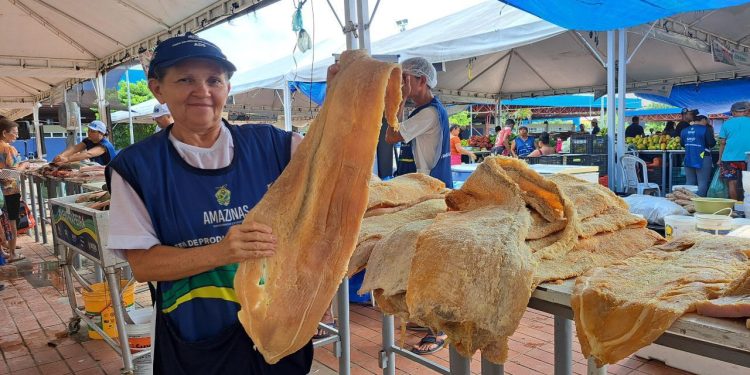 Feirão dos Pescado em Manaus divulga saldo positivo de vendas