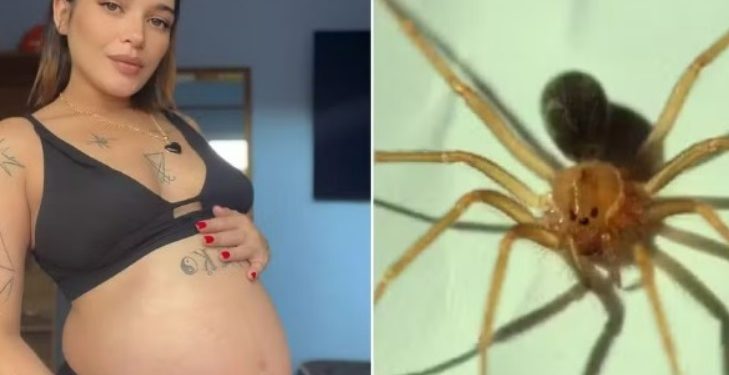 Grávida fica com perna necrosada após levar picada de aranha; foto