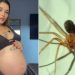 Grávida fica com perna necrosada após levar picada de aranha; foto