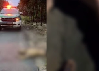 Vídeo: Jovem assassinado por ‘justiceiro’ em Manaus chegou a clamar pela vida: ‘Não quero morrer não’