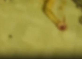 Vídeo: Suposto ladrão em Manaus leva ‘aviso’ de traficantes ao ser baleado na mão e na perna