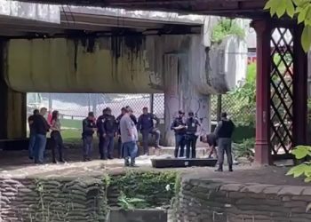 Vídeo: cadáver amarrado é encontrado no Parque dos Bilhares