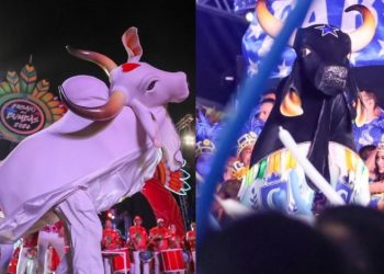 Garantido e Caprichoso deixam Sambódromo vermelho e azul em Manaus