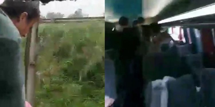 Vídeo: ônibus da Eucatur que saiu de Humaitá cai em ribanceira na BR-319