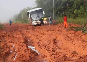 Asfaltamento da BR-319 recebe parecer favorável do Ministério dos Transportes