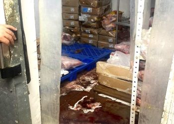 Carne podre: supermercado de Manaus vende produto estragado ao cliente