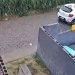 Vídeo: passageira acusa motorista de app de drogá-la e se joga do carro